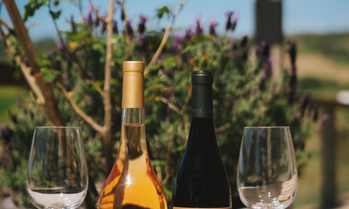 Ferrel Other | Boutique vineyard retreat 45 mins from Lisbon, calm and refined escape