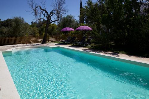 Quelfes House | Casa de Borboletas