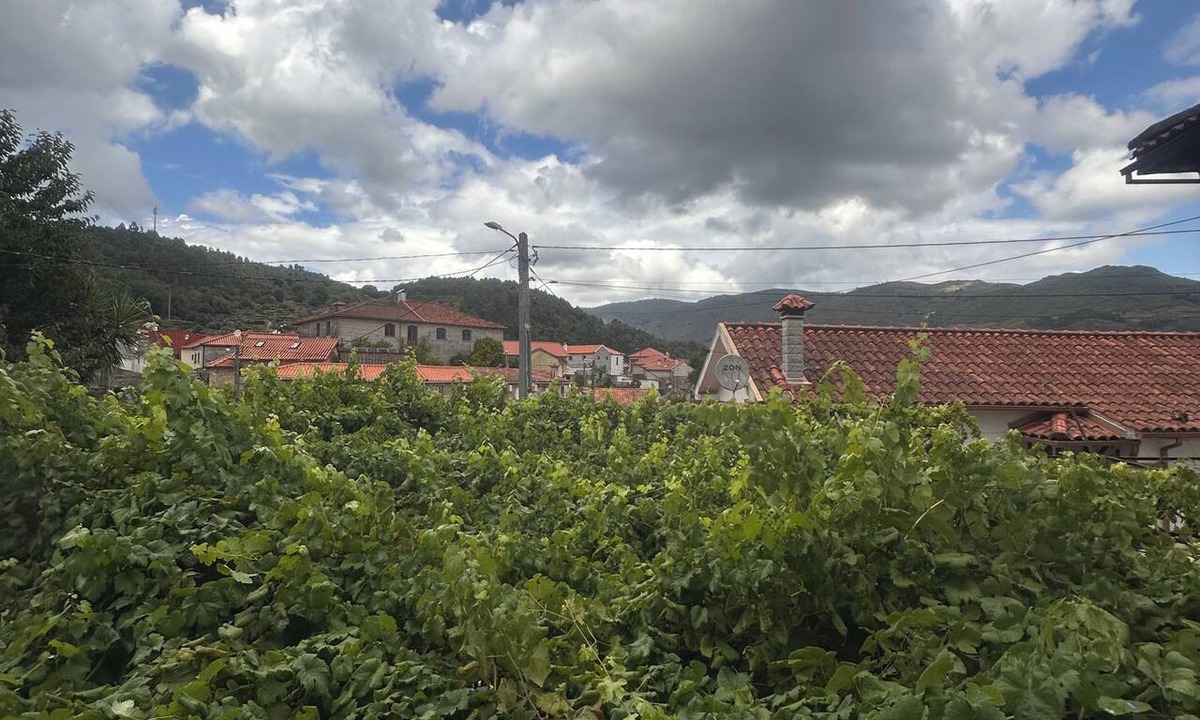 Soajo House | Casa João Fidalgo- 4 bedroom house in Soajo, Arcos de Valdevez