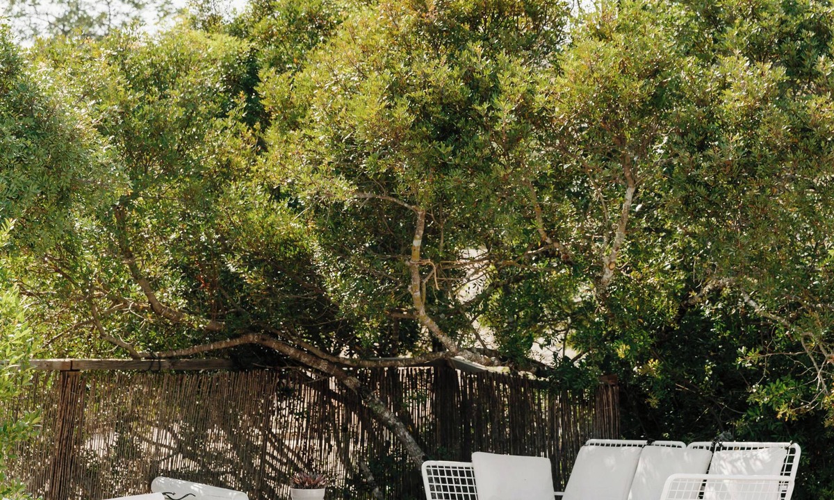 Concelho Apartment | The Old Donkey Suite