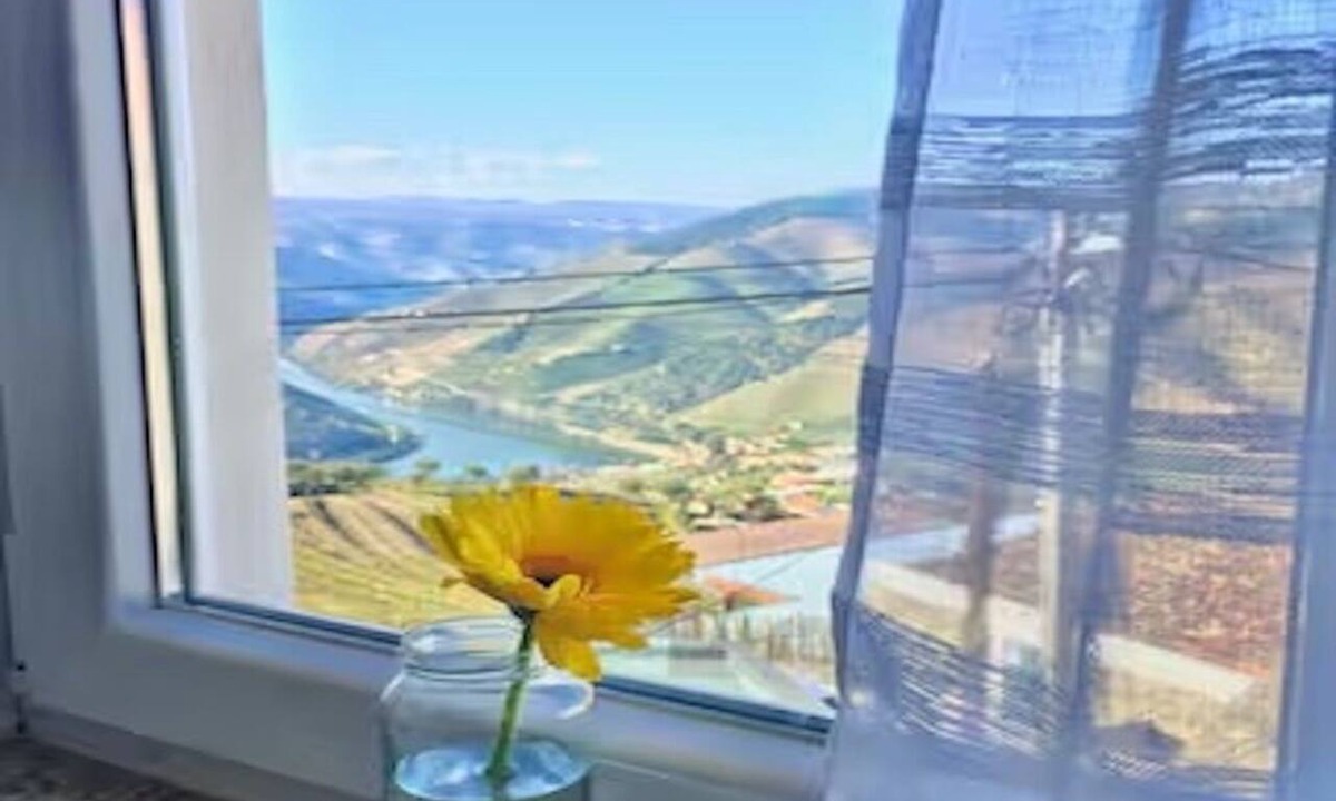 Bomfim House | View of the Douro River and Vineyards