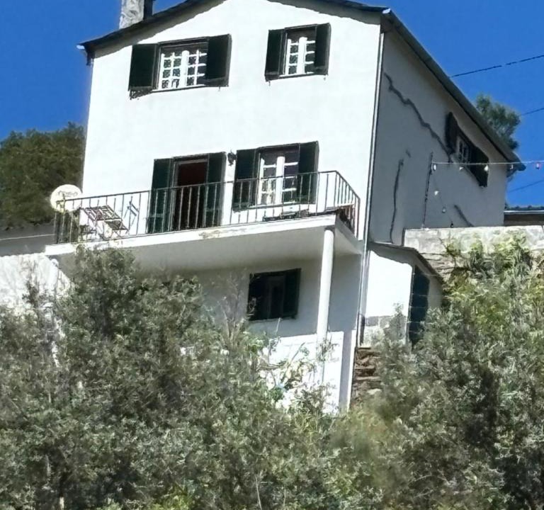 Chas de Egua House | White House