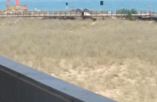 Torralta Apartment | Alvor Beach Front Line Bay