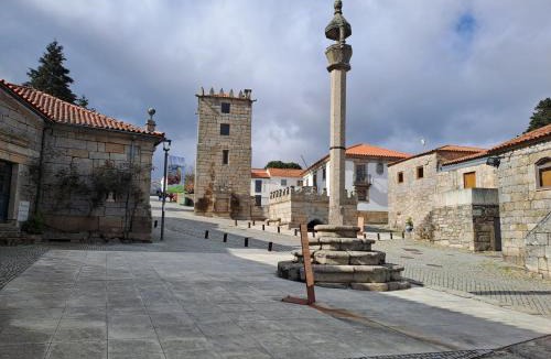 Aguiar da Beira House | Casa da Figueira