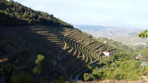 Lamego House | Casa da Quinta do Porto