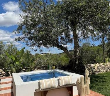 Cerro Grande House | Casa Nova Vida