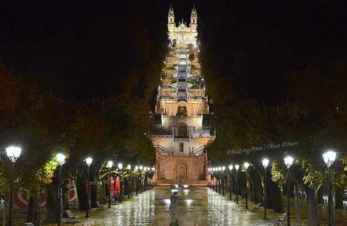 Lamego House | Garden View Room