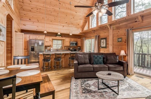 Black Mountain Cabin | Lakey Gap Lodge | Pet-Friendly Cabin🐾 w/Hot Tub + Views + Biltmore Pass