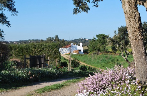 Sao Luis Cottage | Luxurious Alentejo farmhouse