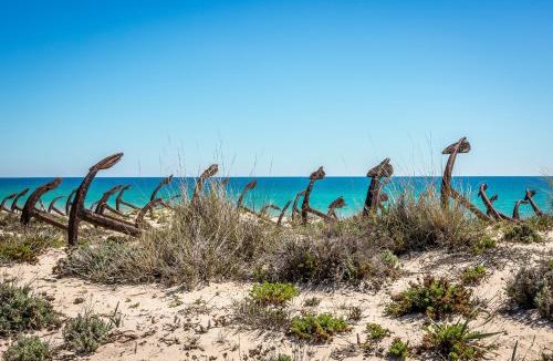 Santa Luzia Resort | Pedras del Rei