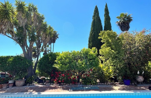 Alcaria Villa | Portuguese Quinta with pool and private garden. Sleeps 6 Tropical paradise!