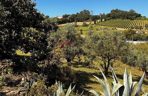 Evora de Alcobaca House | Quinta da Boa Vida - Master Villa with Wine Cellar & Pool