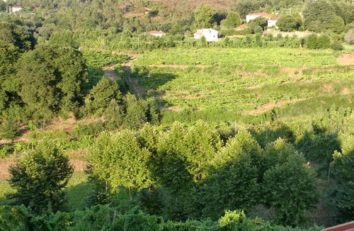 Molares House | Quinta das Beautiful :)