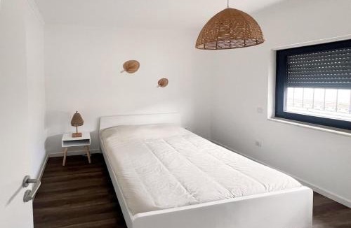 Sao Pedro da Cadeira House | Refúgio D'Assenta