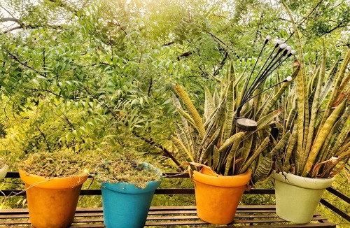 Hauz Khas Apartment | Rusty Roads, South Delhi, New Delhi, Studio Room on Terrace with Jacuzzi