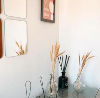 Travanca Apartment | S. Mamede House - Penafiel