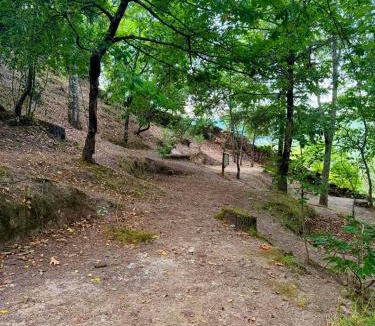Cabril Other | Valley Cabril Selvagem