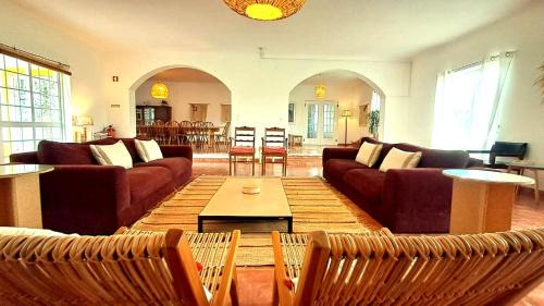 Grandola Villa | Villa das Oliveiras