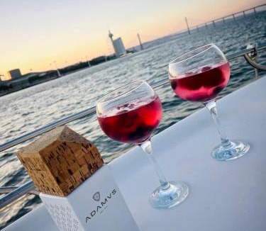 Parque das Nacoes Boat Rental | VINA BOAT - Unique Stay in Lisbon Marina