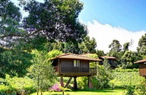 Santa Cruz Cabin | Wooden refuge in the heart of nature
