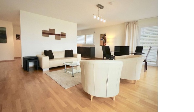 173 * Bright, spacious and modern apartment with terrace and free parking includ in Lausanne