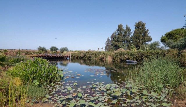 2-Bed Algarve Retreat with Yoga, Pilates and Natural Pool