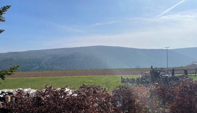 Accommodations in a Hiking Paradise in Neuleiningen