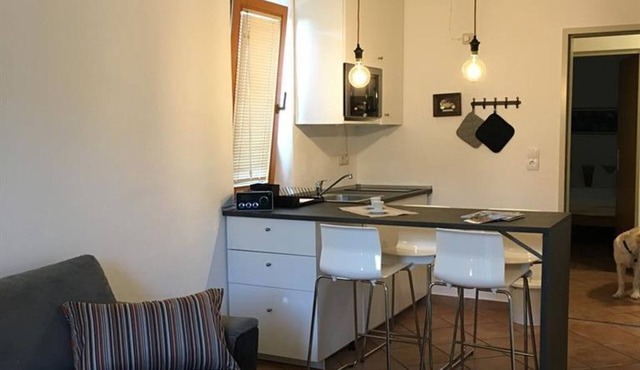 Apartment Rainer - Apartment, shower, toilet, 1 bedroom in Sistrans