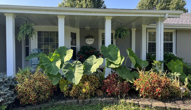 BACKYARD OASIS! Cozy and charming 60s Brick ranch with relaxing gazebo over pond in Defiance