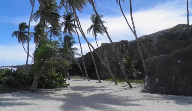 Beachcliff Bottom Bay Barbados in St-Phillips