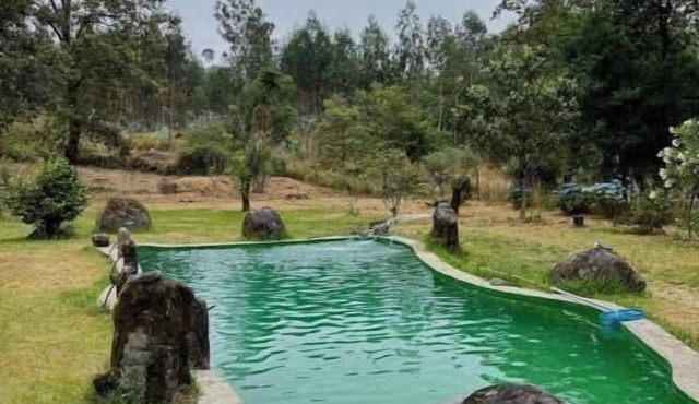Casa do Arte - Peaceful Retreat with Pool