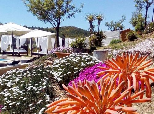 Casas de Campo do Castro da Cola