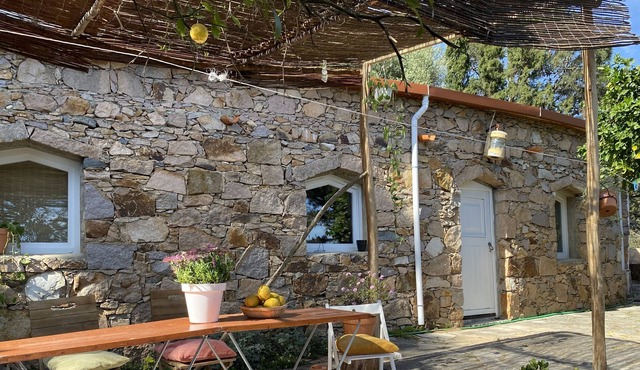Cascais/Guincho. Location, beach, forest, comfort, 360º views.