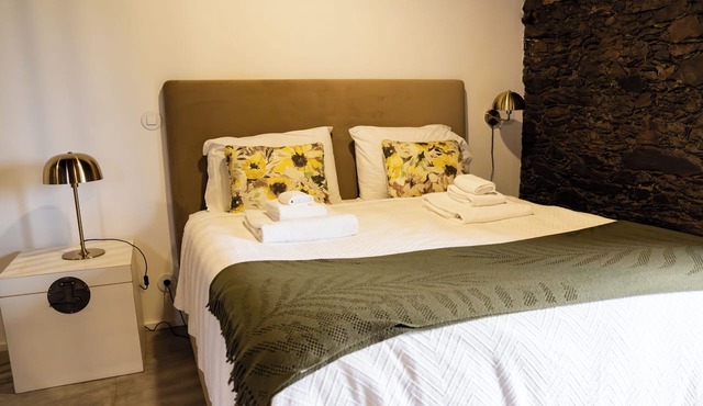 Cozy 1-bedroom farmhouse in gorgeous Provesende with AC,panoramic pool & jacuzzi