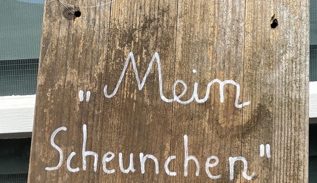 Cozy studio in an old barn for singles and couples; dogs allowed upon request in Aachen