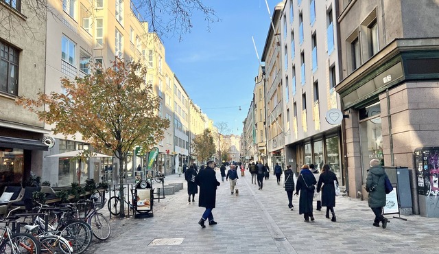 Delightful Central Studio in Helsinki in Helsinki