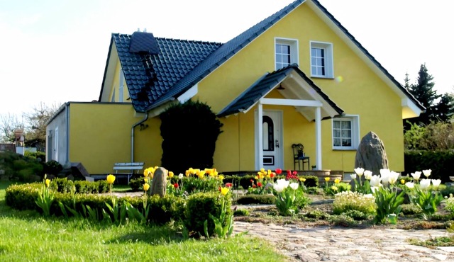 Detached house, fireplace, huge garden, small stream, idyllic, tranquillity, pure nature in Mittenwalde