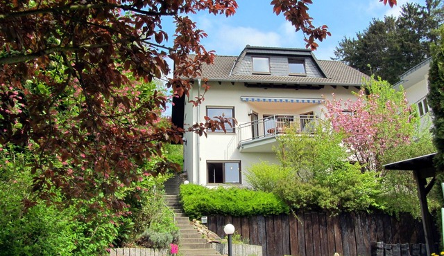 Eco Apartment Bonn Quiet Stylish ideal home office in Oberdollendorf