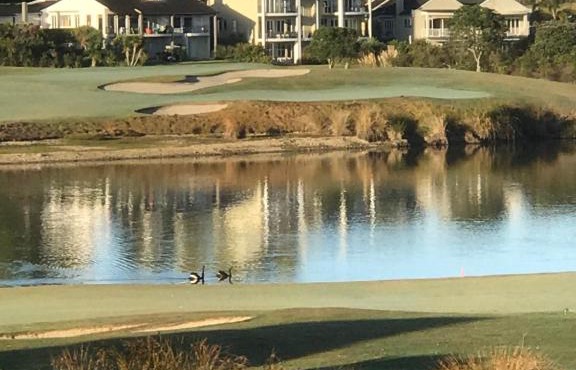 Golf@Gulf