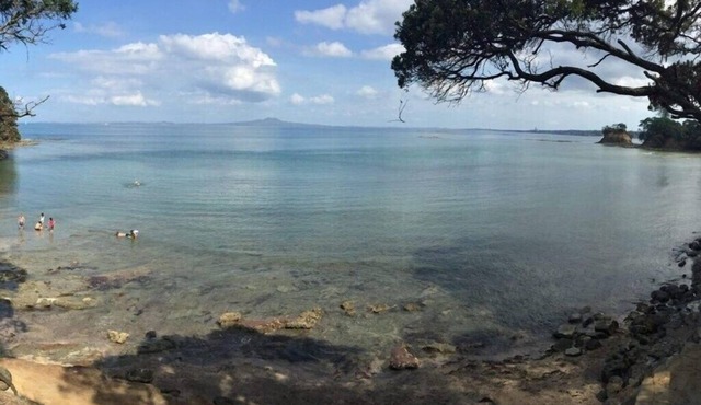LARGE TORBAY HOME: Short walk to two beaches