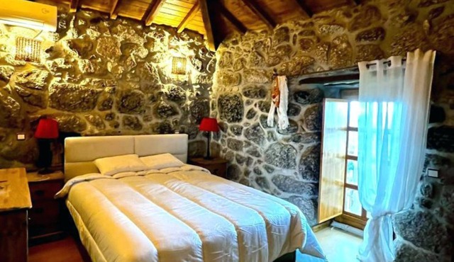 Magnificent farmhouse with swimming pool and mountain views!