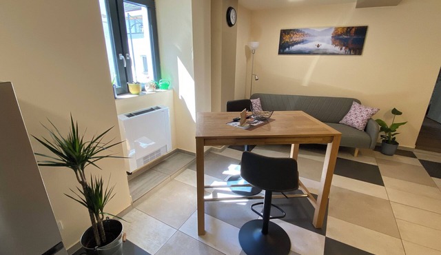 Modern apartment for vacation and work in Monzingen