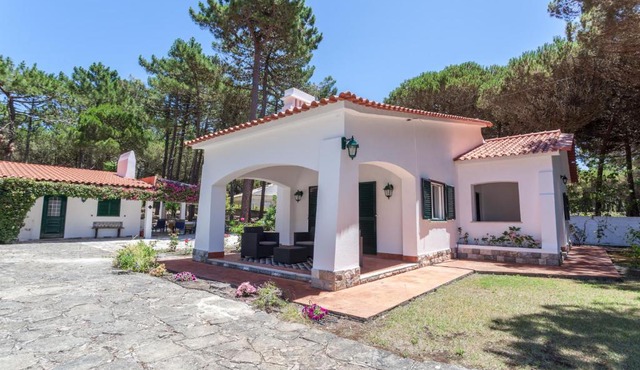 Ocean, Pines and Mountain - Renovated February 2025 - AC