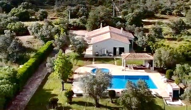 Olive Villa