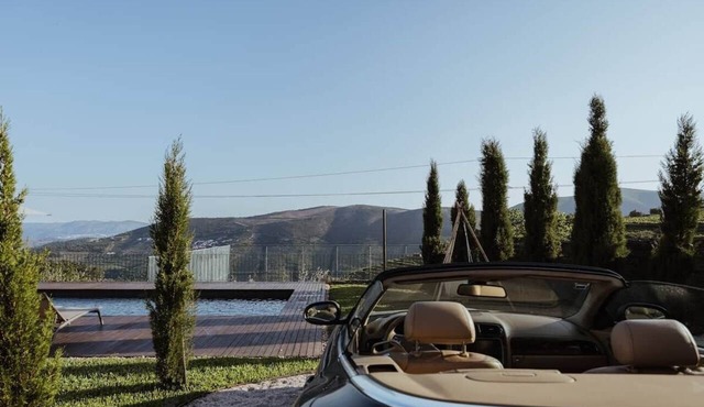 Pátio Studio · Provesende, swimming pool, and vineyards