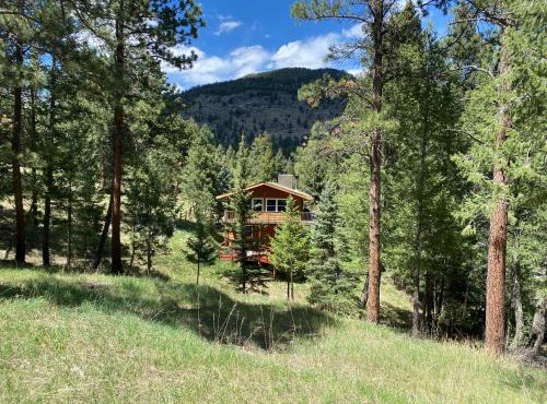 Peaceful in Evergreen