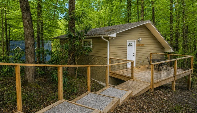 Pisgah Hillside Haven | Private Mountain Retreat Near Brevard, Pisgah & Asheville in Pisgah Forest