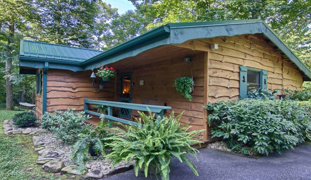 PRIVATE MOUNTAIN COUPLES GETAWAY. 16 MI TO ASHEVILLE. CREEK, HOT TUB, FIREPLACE in Candler