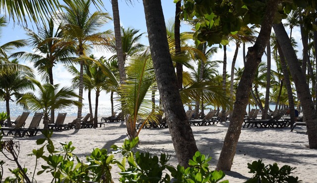 Punta Cana Beach Luxury apartment 2 bedroom 4 minute walk to beach in Punta Cana