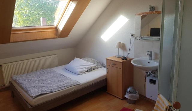 Schwalbennest in Mainz